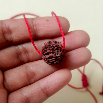 Real 5 Mukhi Nepali Rudraksh (15mm)