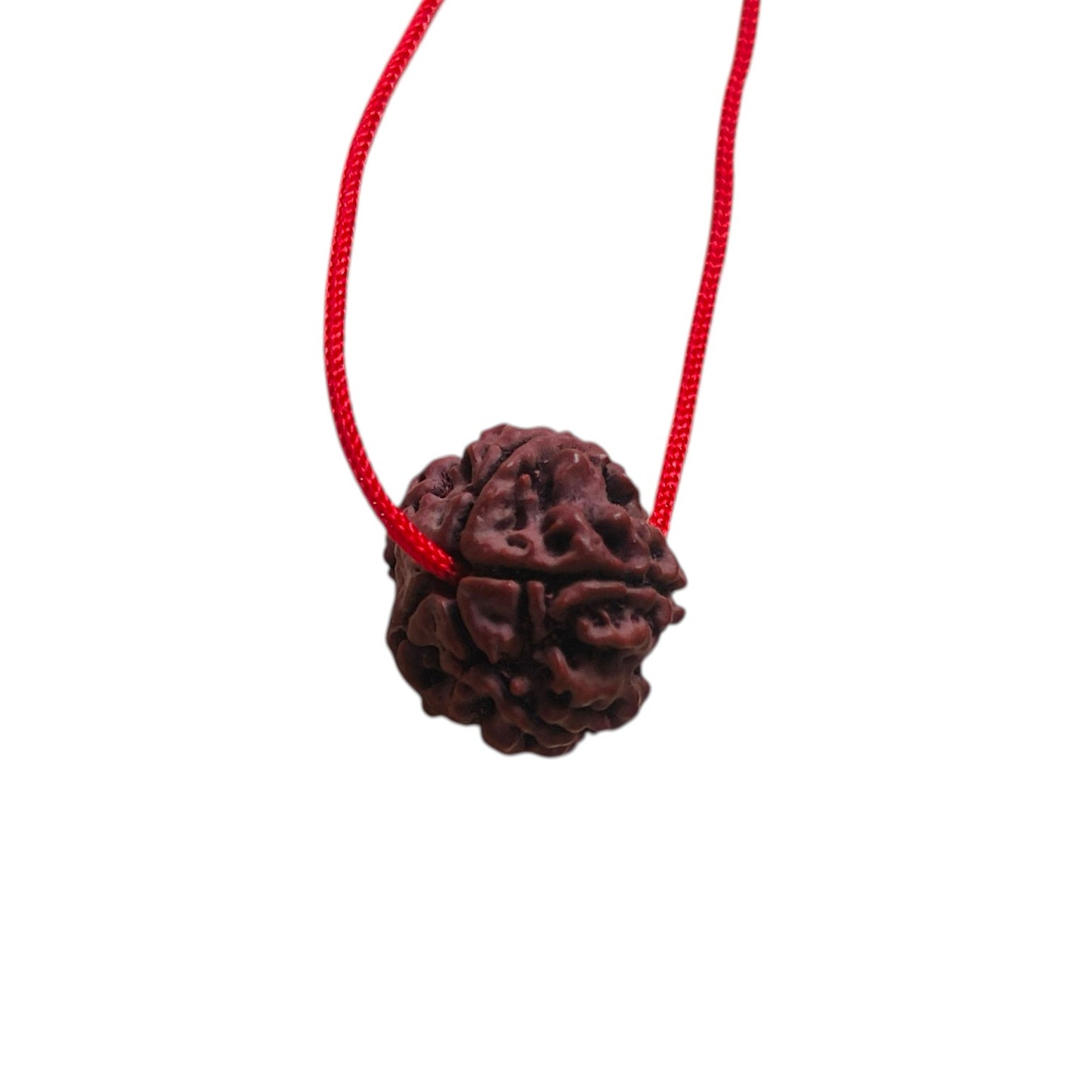 Real 5 Mukhi Nepali Rudraksh (15mm)
