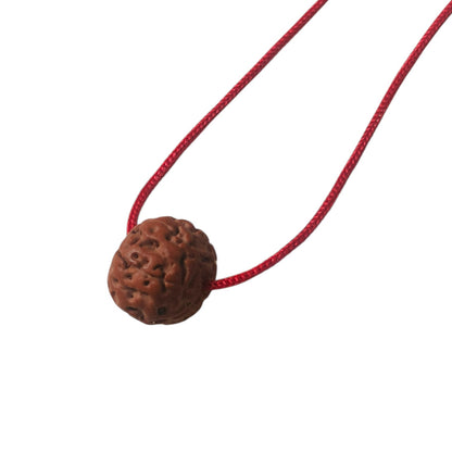 Real 5 Mukhi Nepali Rudraksh (12mm)