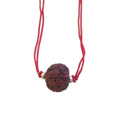 5 Mukhi Nepali Rudraksh in 92.5 Pure Silver (15mm)