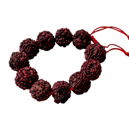 15mm- 5 Mukhi Nepali Rudraksh Bracelet